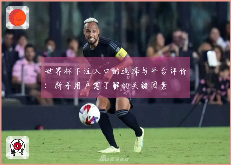世界杯下注入口的选择与平台评价：新手用户需了解的关键因素